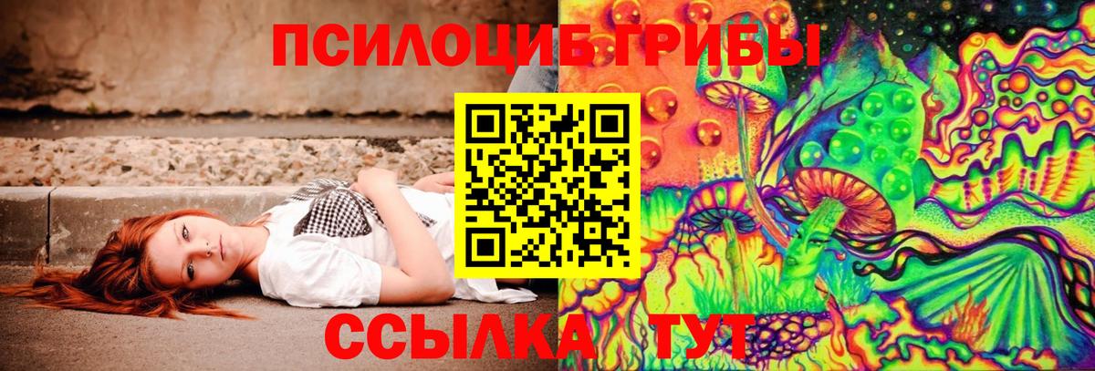 Галлюциногенные грибы Psilocybe Каменка